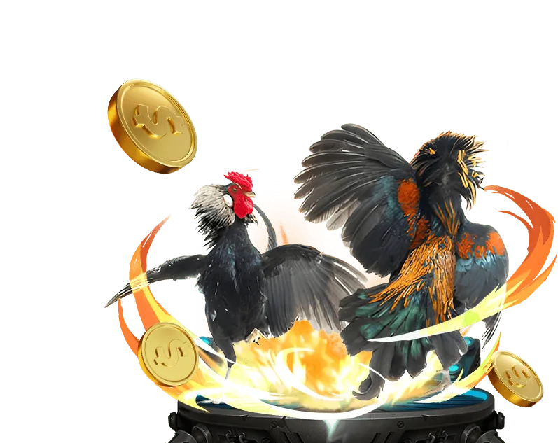 Ghi chú và lời khuyên từ chuyên gia cá cược đá gà C1