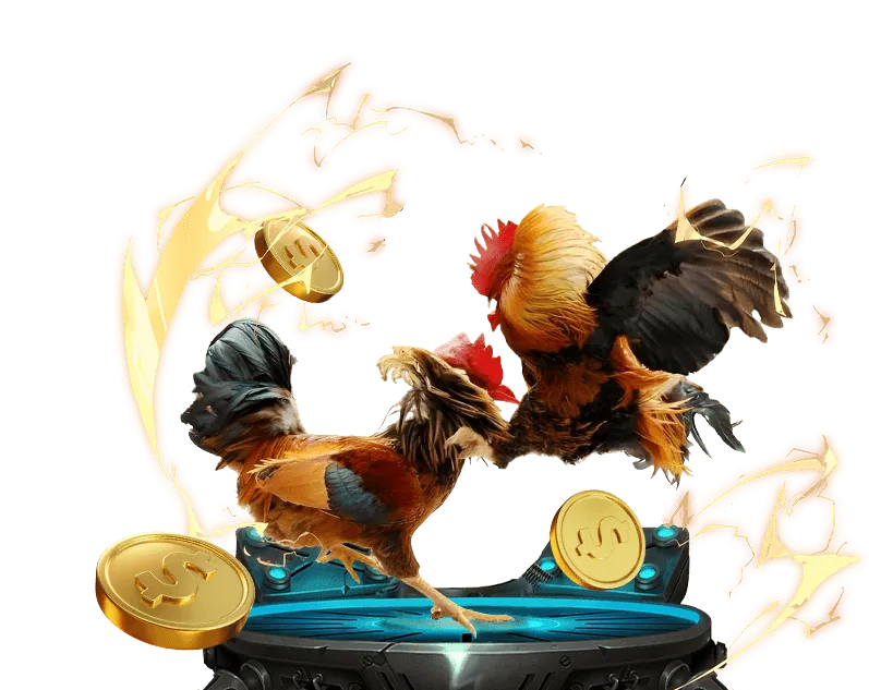 Những giải đấu đá gà C1 lớn nhất thế giới